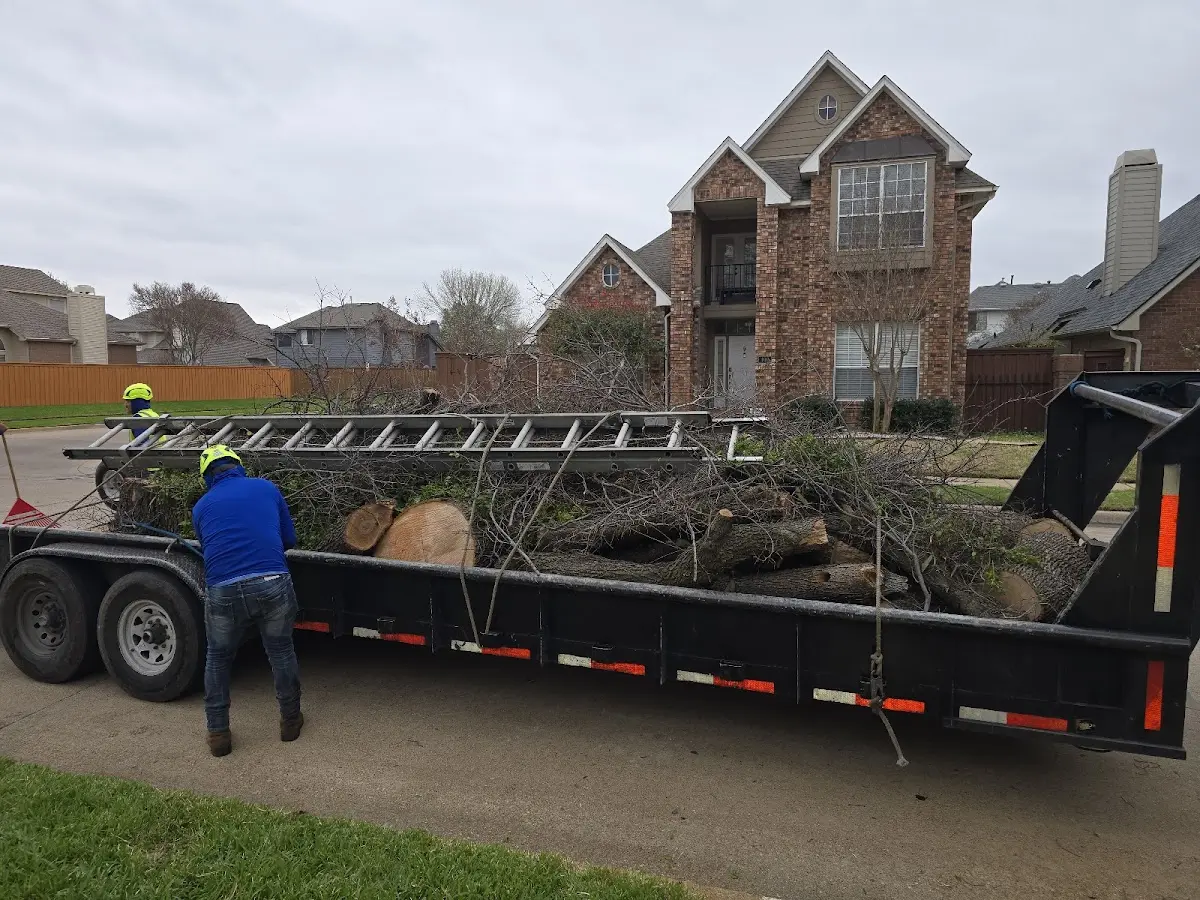 Expert Tree Fertilization with proper safety equipment in Watertown